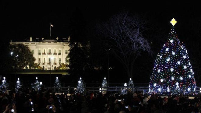 National Christmas Tree in Washington dies after just 14 months ...