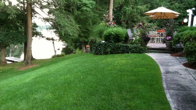 Lakeside%20Lawn%20using%20no%20Chemicals.JPG