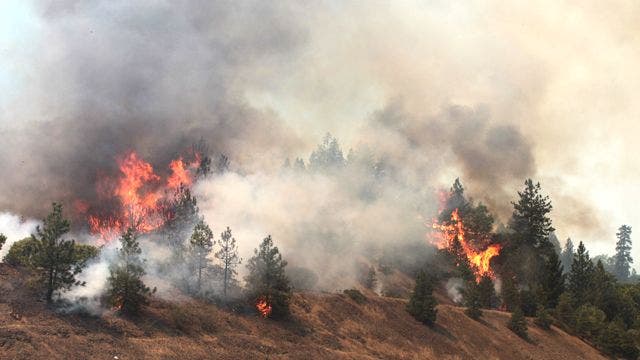 California wildfire burns 7 homes, threatens thousands | Fox News